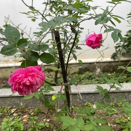 Nhat Long Homestay Hue Εξωτερικό φωτογραφία