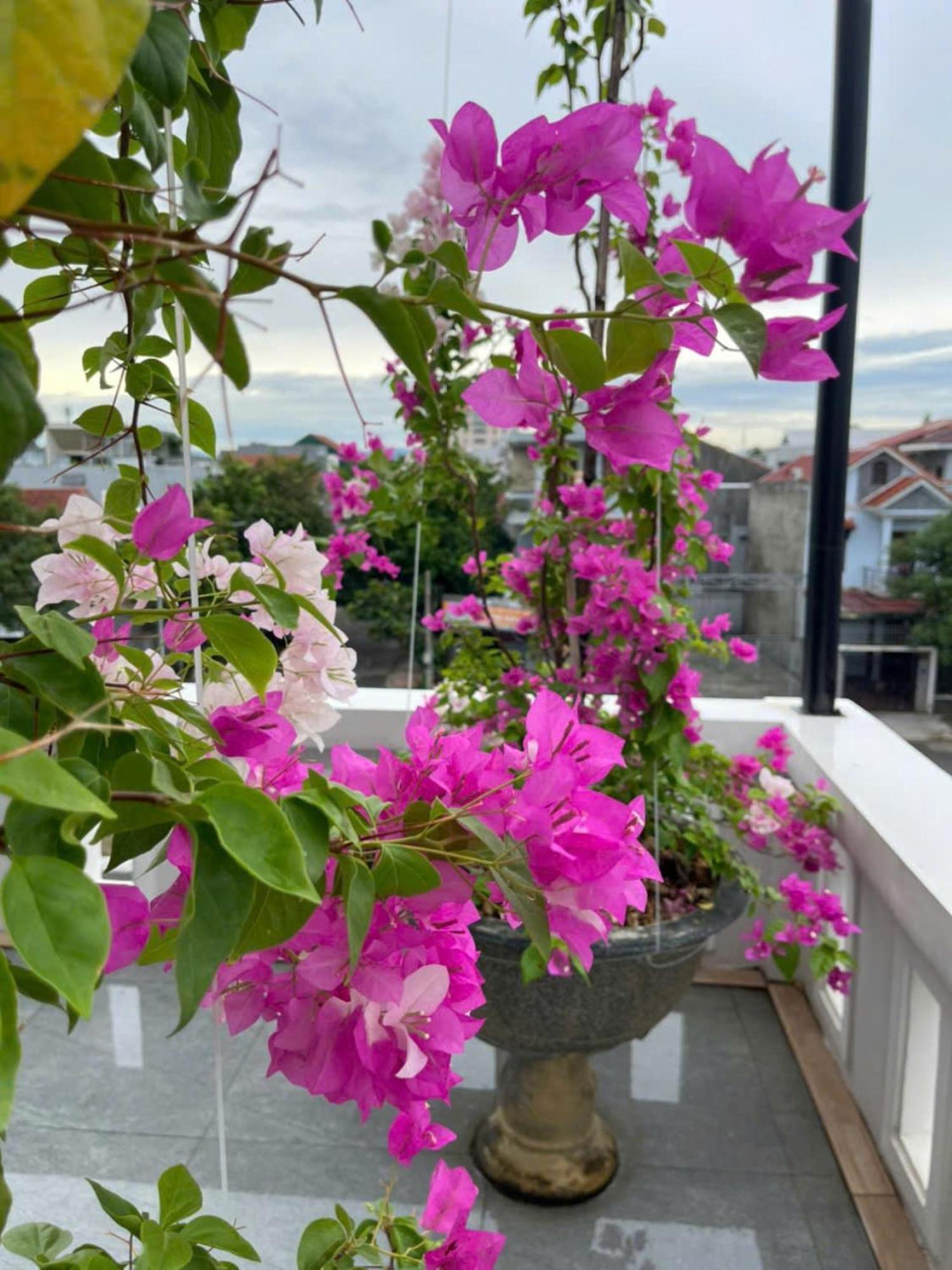 Nhat Long Homestay Hue Εξωτερικό φωτογραφία