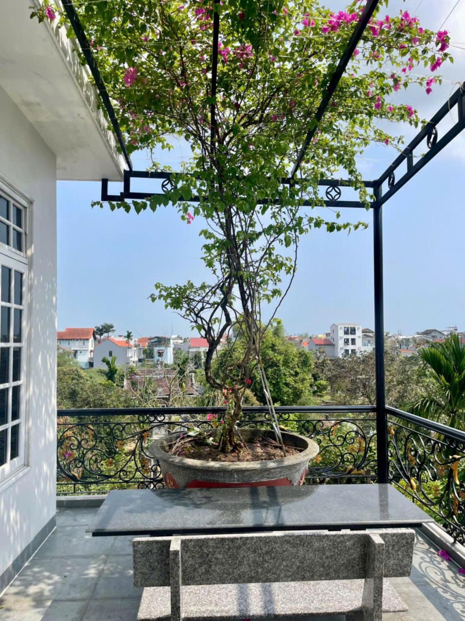 Nhat Long Homestay Hue Εξωτερικό φωτογραφία